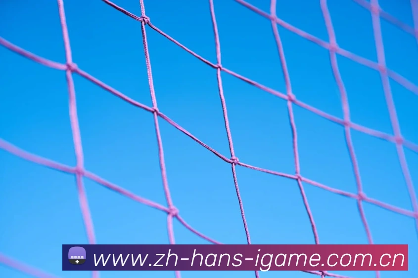 爱游戏服务体系